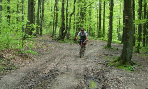 Beskid Sadecki