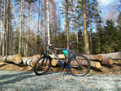 rower w lesie