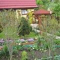 Ogródek