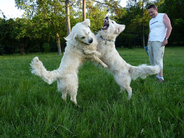 Brutus i Duffel, Park Bródnowski, 2011