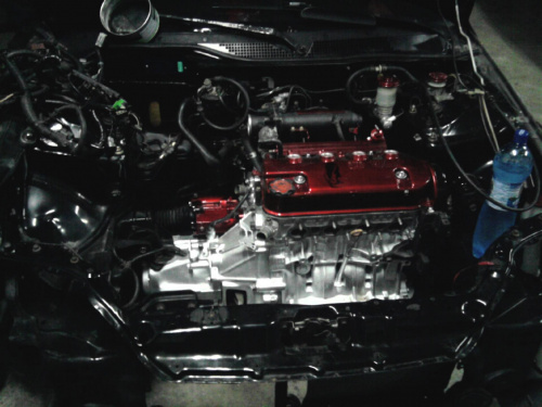 civic engine and fender