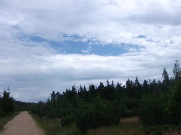 Zapowiadało się że będzie padać,a tu proszę błękit powitał nas na szlaku :))