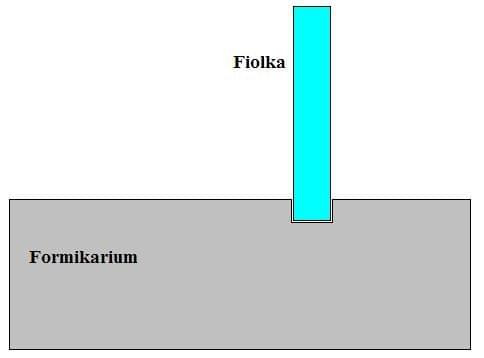 Nawadnianie formikarium