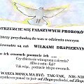 Z nieba splynal golab bialy W promieniach wschodzacego slonca ozlocony caly W dziobie otwarta ksiege swieta trzymal
